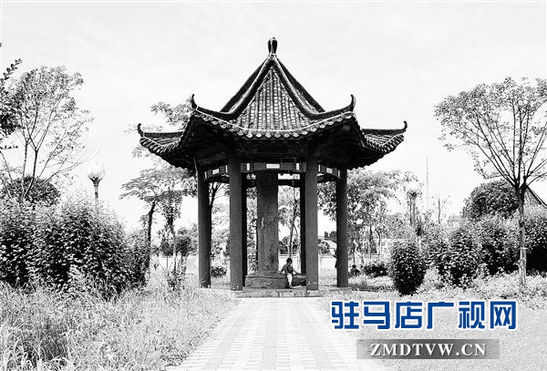 zhangz150263.jpg