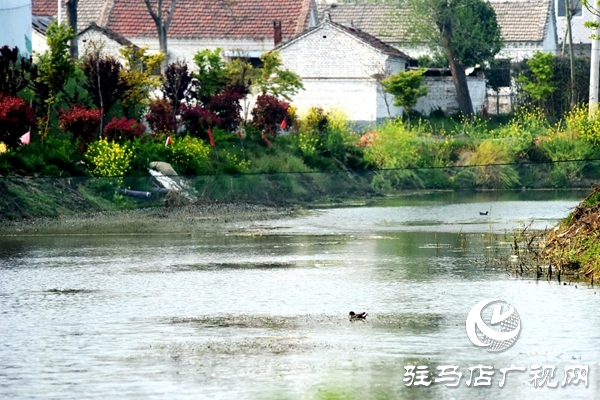 汝南縣王崗鎮(zhèn)朱莊村：這里和城里沒(méi)兩樣 