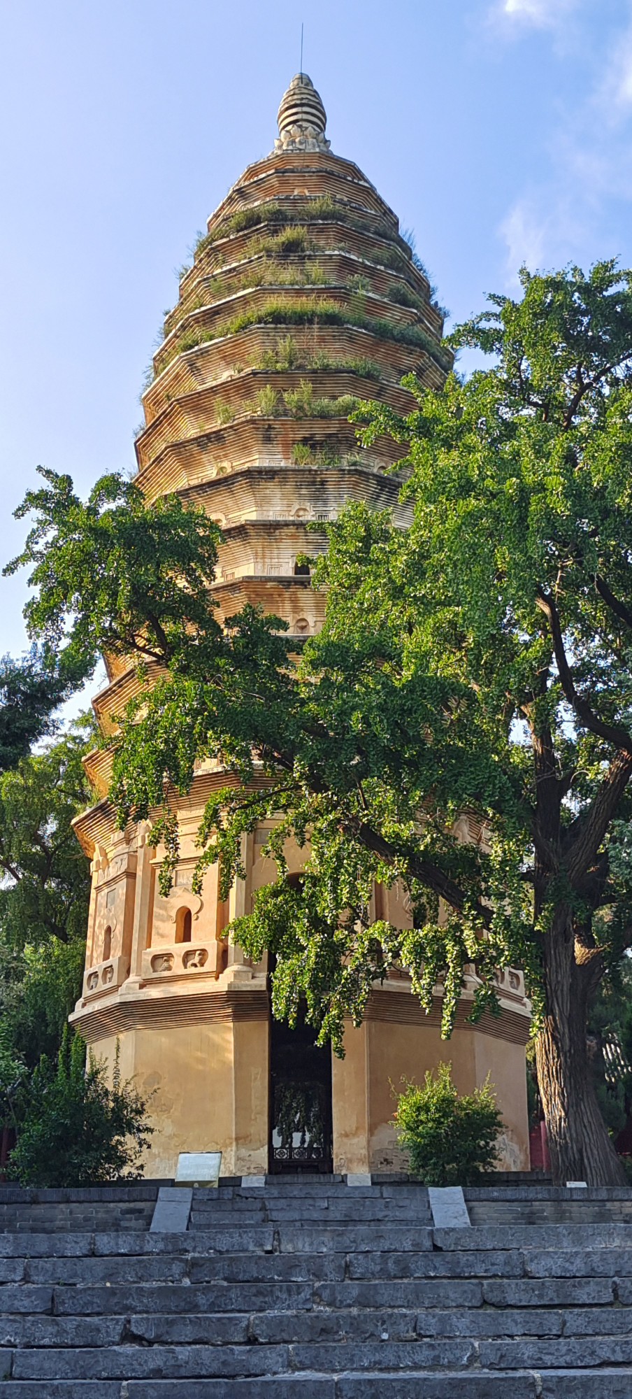 行走河南·讀懂中國丨“華夏第一塔”嵩岳寺塔：居天地之中 獨(dú)守千年孤獨(dú)