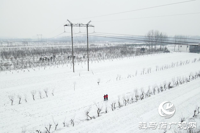 國(guó)網(wǎng)平輿縣供電公司：戰(zhàn)風(fēng)雪 破堅(jiān)冰 打贏春節(jié)保電攻堅(jiān)戰(zhàn)