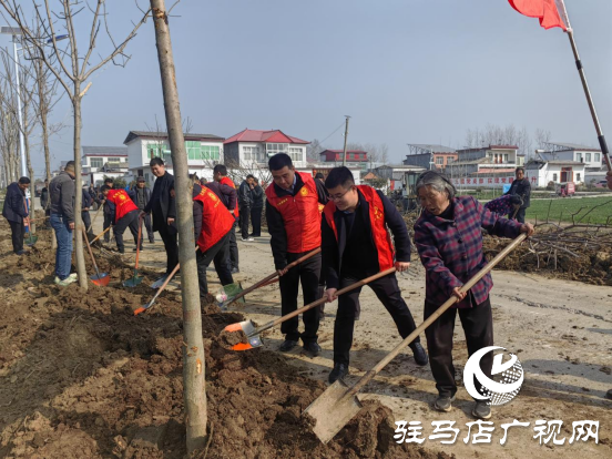 平輿縣李屯鎮(zhèn)組織開(kāi)展2024年全民義務(wù)植樹(shù)志愿服務(wù)活動(dòng)