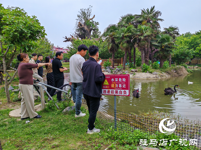 平輿藍(lán)天芝麻小鎮(zhèn)：美人魚(yú)真人秀 野人部落演藝讓游客嗨歡天