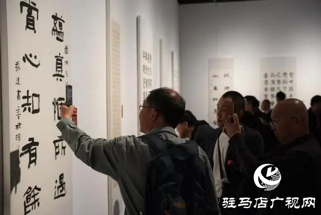 泌陽縣書法家協(xié)會會員齊聚，共賞全國第十三屆書法篆刻展