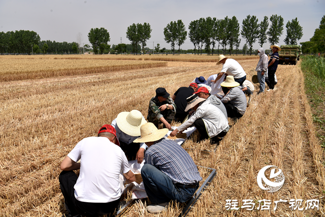 平輿縣組織開展“新型農(nóng)機(jī)設(shè)備機(jī)收大比武”活動