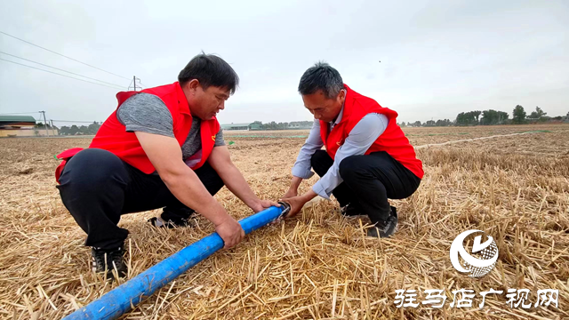 平輿縣廟灣鎮(zhèn)：田間閃耀“志愿紅” 及時澆灌保秋收