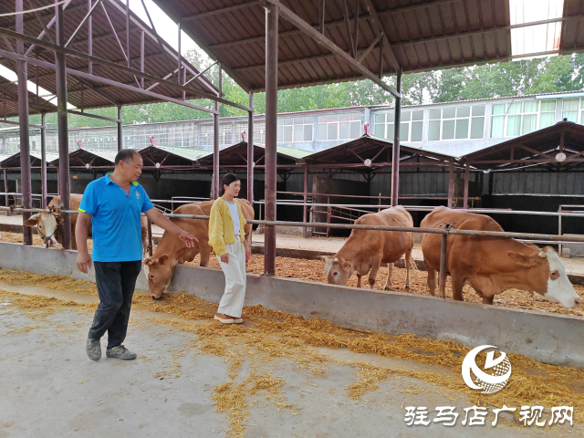 平輿縣李屯鎮(zhèn)李屯村：黨建三級聯(lián)動雙提升 強村富民促振興