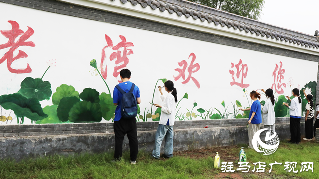 北京師范大學(xué)在平輿開展“藝”心向農(nóng)暑期社會實踐活動