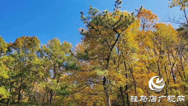 銅山湖之美：人在岸邊走 似在畫(huà)中游